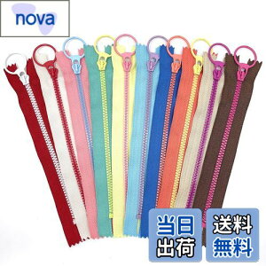 yzJt oCJ[ O t@Xi[ 10{ Zbg (15cm, ^CvE)