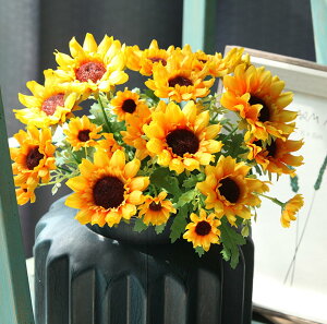 yzhimsyuden Ђ܂  ԑ 428{ 7{/ lHϗtA ͂Ȃ Ԃ݂ Be ̓ j v[g  ItBX iX  CeA