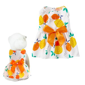 yzAmzBarley ybg s[X t hX m    lC ĕ XJ[g   ʋC \tg hbOEFA t@bV Lp ^ U 