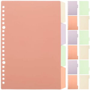 【送料無料】EXCEART インデックス 仕切りカード シート a5 20穴 4色 プラスチック製 索引ページ 仕切りラベル ボード タブ ファイルアクセサリー オフィス用 10枚入り