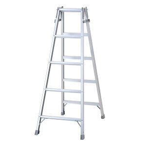 yzJH(Hasegawa) ͂pr RC2.0