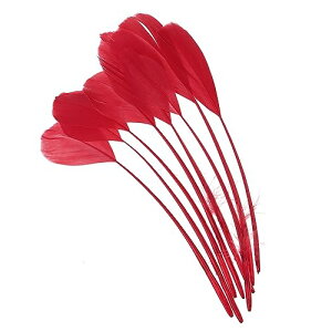 yzPATIKIL 15-20cm K`E̖ 50 oNVRH H| J[jo  ߑ EGfBO p[eB[ X^C4 bh