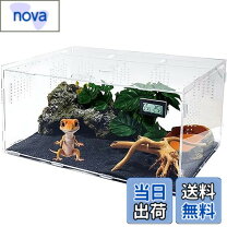 楽天市場】レプロ 爬虫類の通販