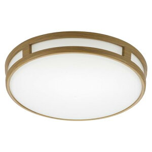 【送料無料】オーム電機 シーリングライト LED 小型 調光タイプ 60形 810ルーメン 昼光色 ミニシーリング 玄関 トイレ 洗面所 LE-Y7BC-TD 06-5070 OHM