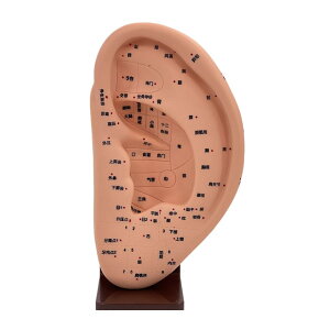 �y���������zTVETE ���c�{ �͌^ �� �͌^ ���� �͌^ �� ���˃]�[�� �����I ���̓I �l�̖͌^ �� �V���R�� �}�j���A���t�� ���̃c�{���f�� �g���₷�� ���S�� ���� �� ���f�� �w�K�p �⏕��� 