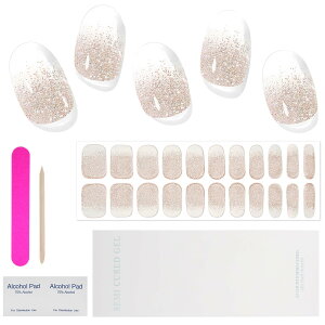 yzChisafly WFlCV[ d^Cv lCV[ 22Zbg LL  Ղ