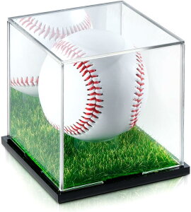 yz싅{[P[X TC LO z[{[ RNV AN fBXvCP[X ی W ho