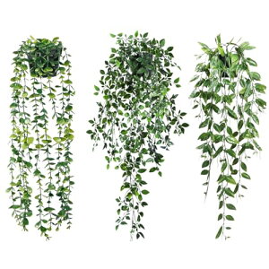 yzHOTQ tFCNO[ Ǌ| ϗtA tFCN ݂邷 GA[vc  T{e ݂艺  3_Zbg