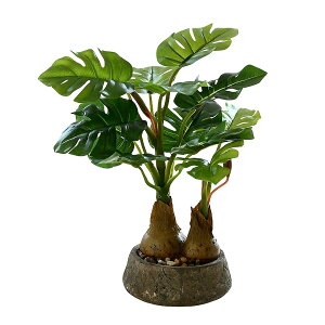 yzArchnote ϗtA tFCN O[ tFCNO[  Xe lHϗtA ~j   A