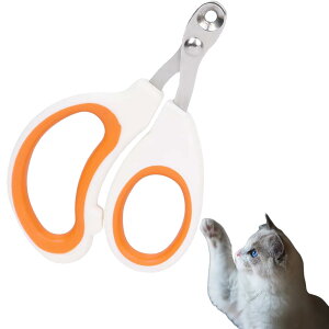 yzBLOOPIC L ܐ؂ ybgpܐ؂ _uz[fUC y RpNg PAc[ ؂肷h~