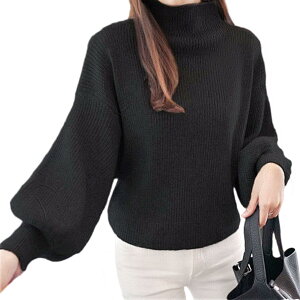 yz[Narebualo Cietupoop] Z[^[fB[X nClbN jbg  ZX^CgbvX ^X[u obgX[u vI[o[ n t@bV 傫TCY 