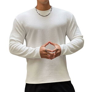 yz[Anmur] Y  TVc W ؃g X|[cEFA g[jOEFA tBbglX z Xgb` 㒅 {fBr H~