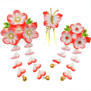 yz[JZOON]  3_Zbg ܎O l  Of[V wAANZT[ ܂ݍ׍H    U a Ǝ   Cxg  nhCh  