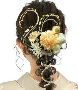 yzyJZOONz Ǝ l wAANZT[ AWTC ݑa a ܎O  w    U ԉΑ    13{Zbg 9F a m 