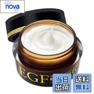 yzEGF fB[vICN[ }LV} [ 20g / Zx6}CN ] ZxEGFGLXzN[ ({) GCWOPA VRR ێ