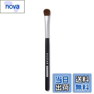�y���������zSILSTAR PROFESSIONAL MAEKUP BRUSH �F�F�u���b�N