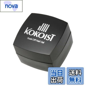 �y���������zKOKOIST �J���[�W�F�� E-307 2.5g ���f�B�C�����b�h �F�F���b�h
