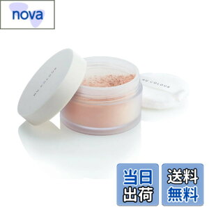 �y���������zNu Skin �j���[�X�L�� | �j���[ �J���[ ���[�X �p�E�_�[ SPF17 PA++ | 20g | ���O���΍� | �������E�ӂ���Ȃ߂炩�Ȏd�オ�� | �d�グ�p�p�E�_�[ �T�C�Y�F25�O���� (x 1)