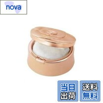 楽天市場】ルースパウダー ディシラの通販