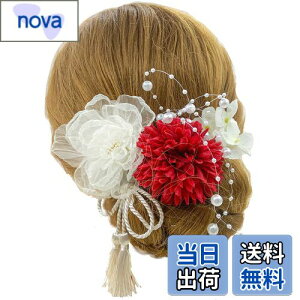 yzyJZOON z 6_Zbg wAANZT[ wACN hCt[ Us wAs    Ȍ a    VtH{̉Ԃт z F