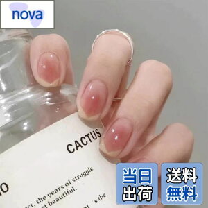 yzBHIDENAW lC`bv V[g 24 lC a 킢 Vv  l w Ǝ  p[eB[ ł܂ lCV[ ԉŃlC   ʃe[