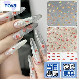 yzChisafly lCV[  lCXebJ[ AWTC z 2Zbg FF