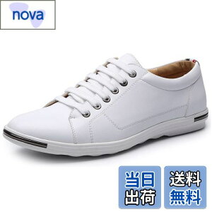 yz[Lopis] y Xj[J[ Y tFCNU[  V[Y [Jbg lC C ʋ ʊw jp  Sn FFzCgATCYF26.5 cm