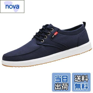 yz[Lopis] Y Xj[J[ y V[Y [Jbg JWA LoX C EH[LOV[Y  ɂ Sn FFlCr[ATCYF24.5 cm