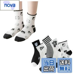 yz[FASELE] C fB[X  \bNX qp wlp\bNX N[\bNX  ԕ X|[c  Rbg  ʋC _炩 t H~ I[V[Y ~bh`