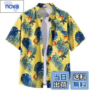 yz[Moerstar] AnVc Y 傫TCY AnVc fB[X J݃Vc  Vc Y N[  ʋC ĕ eqyAbN  rb` s C