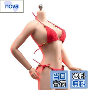 yz1/6f̕pcrLjteBMWA12C`ANVteBMWA{fBh[pK[uWo[N FFbh