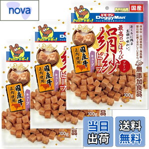 �y���������z�h�M�[�}�� ���p����� ���� �T�C�Y�F100gx3��