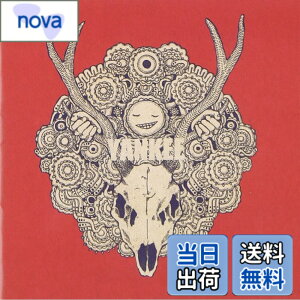 �y���������zYANKEE(�ʏ��) - �ĒÌ��t