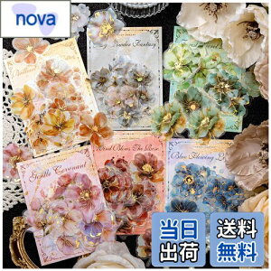 yzArpaper V[ R[W f t[NV[ lߍ킹 PET  킢 LL 蒠 X}z ̎q m[g  XNbvubN V[ XebJ[ fR R[