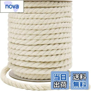 【送料無料】Tenn Well 8mm 綿ロープ, 18M 丈夫マクラメ紐 手作り コットン紐 壁掛け 編み物 DIY装飾 キャットタワーとぎ修理などに (ベージュ)