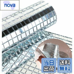 yzREDODECO {̃KX Vo[ ~[ UCN^C XebJ[ Ntgp ` KX^C ȔSA5mm x 5mm (Vo[A2400)