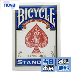 yzBICYCLE(oCXN) 808 C_[obN STANDARD gv  |[J[TCY
