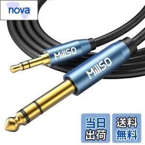 yzMillSO 6.35mm 3.5mm ϊP[u IX-IX I[fBIϊP[u 3.5mm~jvO to 6.35mmWvO 24bL XeIP[u 2.4m u[
