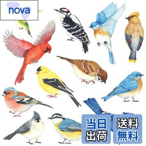 【送料無料】DECOWALL DS-8042 小鳥 (小) ウォールステッカー デコ 幼稚園 保育園 子供部屋 DIY 用 壁転写 シール ウォールアート シール 男の子 女の子 こども バスルーム デコレーション ビニール