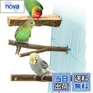 yzYINKE ~܂ ~܂ ܂𖁂񂲂̖ R ܂ p[` CR IE  IE  ₷݃{[h ނ P[WX^h P[WANZT[  Xg