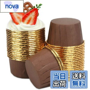 yzVivi Bakie }tBJbv 50 P[L^ x[LOJbv  ĝ P[LJbv DIY ٗpi ϔM h ϖ I[uΉ (R[q[+S[h)