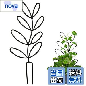 yzYUWENW |x Ax 1Zbg Ԃ Ԏx AT|[g ϗtA T|[g A|h~ Œ\ ėp\ AŒ A UT|[g 鐫Ap 