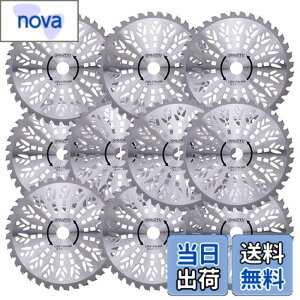�y���������zSHUZIYU �����@�p�`�b�v�\�[ 230x36P 10���g