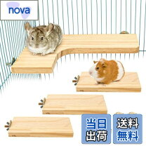 楽天市場】チンチラ飼育セットの通販