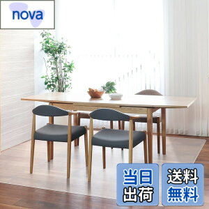 �y���������z�y�@�������z�_�C�j���O�}�b�g ���� 300x180cm �N���A�}�b�g 1.5mm�� �@���� PVC�}�b�g ���g�[�Ή� �������ȒP �L�b�`�}�b�g �\�t�g �G���{�X���H �J�b�g�ł��� �T�����Ƃ�����G