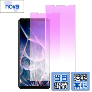 �y���������zDXFAU Xperia 5 III �p �K���X�t�B���� �y2������z �u���[���C�g�J�b�g SOG05 SO-53B �t�B���� �G�N�X�y���A 5iii �����K���X �t���ی�t�B���� �d�x9H �C�A�[�� �����Ȃ� �w��h�~ �\��