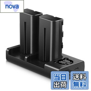 �y���������zENEGON Sony NP-F550/NP-F570�݊��o�b�e���[�i2�j2900mAh+USB�[�d�� �Ή�NP-F530/ NP-F550 /NP-F570/ NP-F330/ CCD-RV100/ RV200/ TR1 /TR940 /TR917 /CN-160 /CN-216 /CN-304 /YN 300 /V607u /V617u