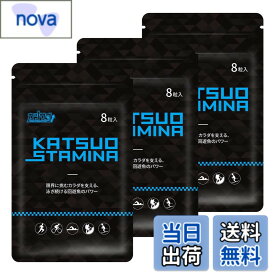 【送料無料】【3袋セット】KATSUO STAMINA カツサプ 1袋(8粒入)