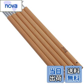 【9月1日ー9月15日まで200円オフ】【送料無料】DOD(ディーオーディー) ビッグタープポール 250cm アルミ 収納袋 太さ28mm XP5-507-WD