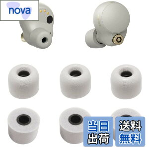 �y���������zA-Pcas �ᔽ���C���[�s�[�X SONY�p WF-1000XM4�p �E���^�����m�C�Y�L�����Z�����O�C���[�s�[�X WF-1000XM5�p WF-C700n�p �L���t�H�[���C���[�`�b�v Fit in the Case �Չ��� �t�B�b�g�� ��������